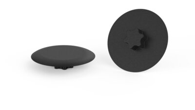 Afdekkapjes voor Torx schroeven