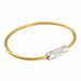 100 stuks - 110mm - Staaldraad Labelhanger - Kabelsluitring met Schroefsluiting - Goud