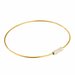 220mm - Staaldraad Labelhanger - Kabelsluitring met Schroefsluiting - Goud