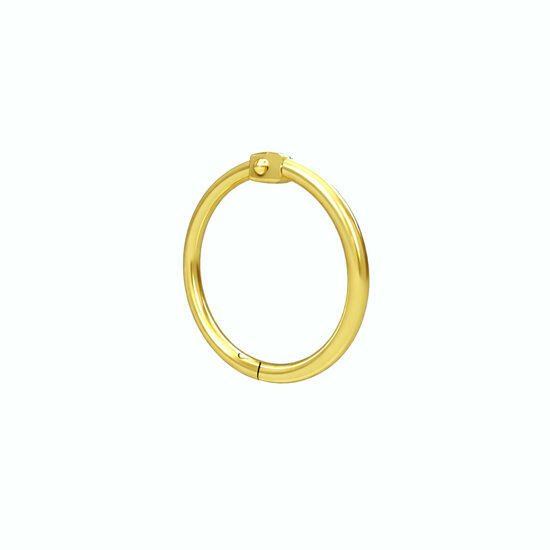 25mm Metalen Scharnierringen / Bindringen / Klikringen - Goud