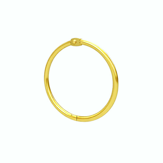 100 stuks - 38mm Metalen Scharnierringen / Bindringen / Klikringen - Goud