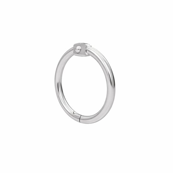 20mm Metalen Scharnierringen / Bindringen / Klikringen - Zilver