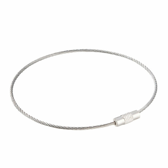 100 stuks - 220mm - Staaldraad Labelhanger - Kabelsluitring met Schroefsluiting - Zilver