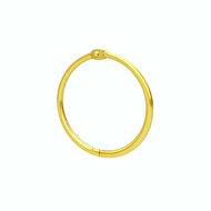 38mm Metalen Scharnierringen / Bindringen / Klikringen - Goud