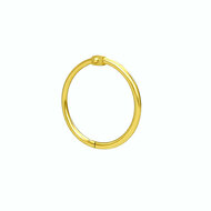 100 stuks - 32mm Metalen Scharnierringen / Bindringen / Klikringen - Goud