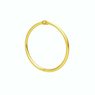 100 stuks - 50mm Metalen Scharnierringen / Bindringen / Klikringen - Goud