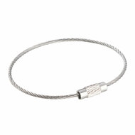 150mm - Staaldraad Labelhanger - Kabelsluitring met Schroefsluiting - Zilver