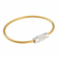 100 stuks - 110mm - Staaldraad Labelhanger - Kabelsluitring met Schroefsluiting - Goud