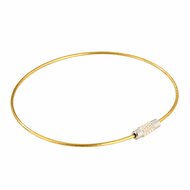220mm - Staaldraad Labelhanger - Kabelsluitring met Schroefsluiting - Goud