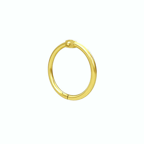 25mm Metalen Scharnierringen / Bindringen / Klikringen - Goud