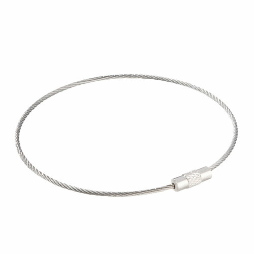 100 stuks - 220mm - Staaldraad Labelhanger - Kabelsluitring met Schroefsluiting - Zilver